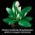 LEGO BOTANICALS 11504 Skrzydłokwiat - 1473410 - zdjęcie 6